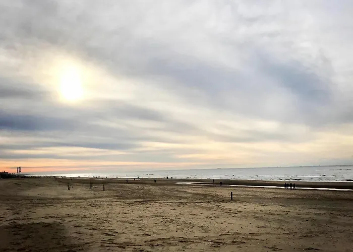 Guest house Duinzand Noordwijk